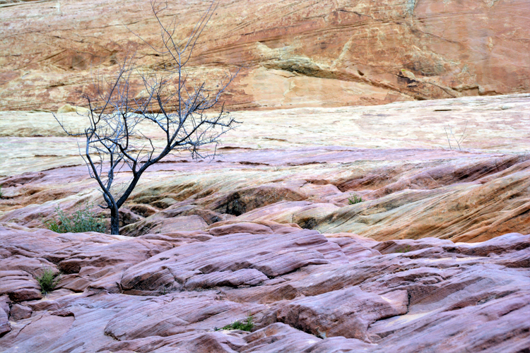 mountain terrain